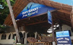 Blue Ribbon Divers Sunsplash Resort