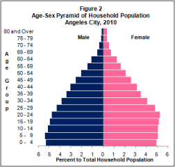 Angeles City Population Age Sex Guide 2010