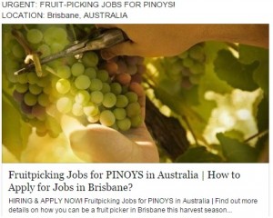 Australian Fruit Picking Jobs for Pinoys