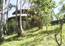 Tanawin Bay Resort